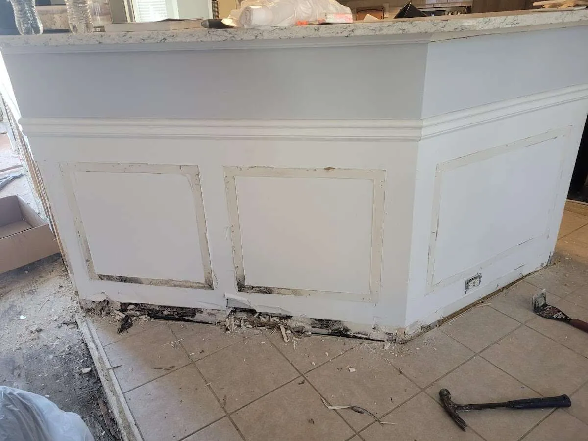 Water damage and mold on kitchen during Mold Inspection & Testing in Miami